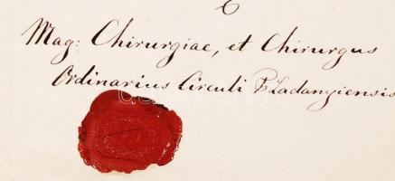 1858 Oltási bizonyítvány Farkas Sylvester Nádasladényi sebész aláírásával és pecsétjével Szél Kálmán...