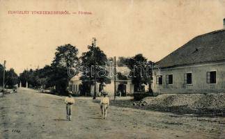 Tőketerebes Fő utca, Kozáky Elek üzlete; Wald Márkusz / Main street, shop (r)