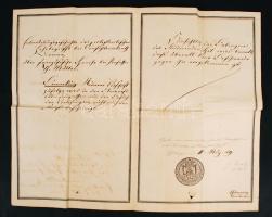 1858 Georg Waitz (1813-1886) német jogtörténész által aláírt Hannoveri jogi akadémiai bizonyítvány S...