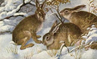 Rabbits O.G.Z.-L. 277/1537