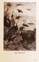 Verne Gyula: Utazás a Föld központja felé. Fordította Beőthy Leo. Egyedül jogosított képes kiadás. B...