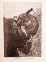 Verne Gyula: Utazás a Föld körül nyolczvan nap alatt. Harmadik egyedül jogosított képes kiadás. Bp.,...