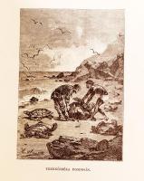 Verne Gyula: A Robinsonok iskolája. Francziából fordította Visi Imre. Második egyedül jogosított kia...