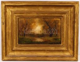 Jelzés nélkül: Tisztás. Olaj, karton, jelzett, keretben, 24×33 cm