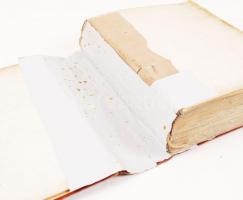 Julius Payer: Die österreichisch-ungarische Nordpol-Expedition in den Jehren 1872-1874, nebst einer ...