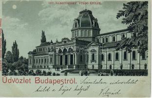 1899 Budapest Margarethen Insel Litho