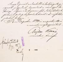 Chyzer Kornél (1836-1909) orvos, balneológus, az MTA tagja által aláírt levél