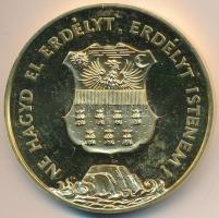 1991. "Temesvár - Erdély" aranyozott nagyméretű piefort emlékérem (65mm) T:PP Csak 2000db!