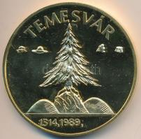 1991. "Temesvár - Erdély" aranyozott nagyméretű piefort emlékérem (65mm) T:PP Csak 2000db!