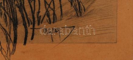 Olgyay Viktor (1870-1929): Behavazott. Rézkarc, papír, jelzés a karcon, üvegezett keretben, 14×18 cm