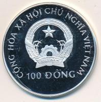Vietnam 1994. 100D Ag "Futballista" T:PP Vietnam 1994. 100 Dong Ag "Soccer player" C:PP Krause KM#70