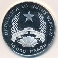 Guinea-Bissau 1993. 10.000P Ag "Őskori élet" T:PP Guinea-Bissau 1993. 10.000 Pesos Ag "Prehistoric life" C:PP  Krause KM#32