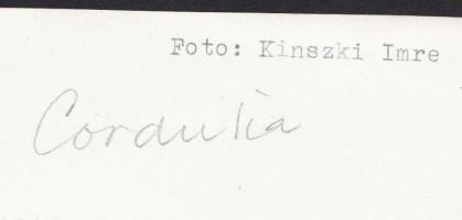 cca 1930-1937 Kinszki Imre (1901-1945): Cordulia tízszeres nagyításban, feliratozott vintage alkotás...