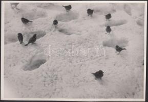 cca 1930-1937 Kinszki Imre (1901-1945): Lábnyomok, vintage alkotás, szerzői pecséttel, 12x17 cm