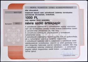 1991. Hupol Plasztik Ipari Kisszövetkezet 1000Ft és 10.000Ft értékű névre szóló értékpapír szelvényekkel T:I