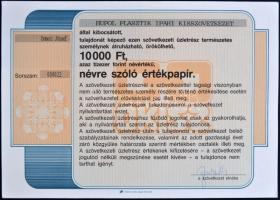 1991. Hupol Plasztik Ipari Kisszövetkezet 1000Ft és 10.000Ft értékű névre szóló értékpapír szelvénye...