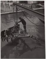 cca 1950-1960 Tiszavölgyi József: Vasmacskán, pecsétel jelzett vintage fotóművészeti alkotás, 19x14 cm