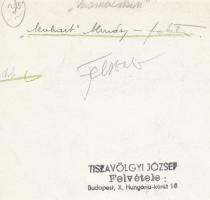 cca 1950-1960 Tiszavölgyi József: Vasmacskán, pecsétel jelzett vintage fotóművészeti alkotás, 19x14 ...