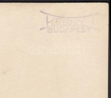 cca 1920-1925 Kerny István (1879-1963): Kör alakú fotómontázs, pecséttel jelzett vintage fotó, 12x9 ...