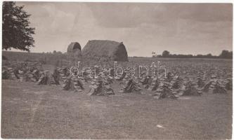 cca 1920-1930 Kerny István (1879-1963): Jászkarajenő, tőzeg szárítása, jelzetlen vintage fotó a szerző hagyatékából, feliratozott, 23x14 cm