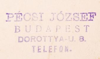 cca 1910-1920 Pécsi József: Dr. Kovács Sándor portréja, pecséttel jelzett, vintage fotó, képméret 15...