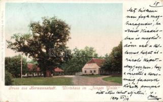 Nagyszeben, Hermannstadt Wirtshaus / tavern (small tear)