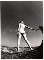 1982 Galbáts Dénes: Akt ’82, feliratozott fotóművészeti alkotás, 24x18 cm / nude photo