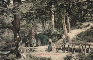 Léka, Lockenhaus, Pálkút; Kopfstein Mór kiadása / fountain