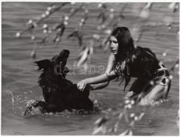 1975 Hemző Károly (1928-2012):  Nyár, jelzetlen, bemutatva a Magyarország ma című fotókiállításon 1975-ben, a Magyar Munkásmozgalmi Múzeumban; publikálva a kiállítás katalógusában, 18x24 cm