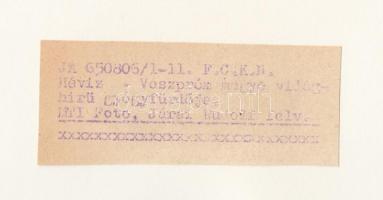 1965 Járai Rudolf (1913-1993): Hévíz, Veszprém megye világhírű gyógyfürdője, feliratozott, 18x24 cm