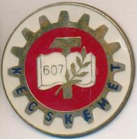 DN "Kecskemét 607" fém jelvény T:2