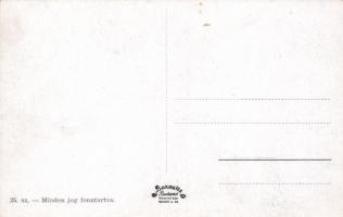 Debrecen, Református kollégium, Csokonai-szobor