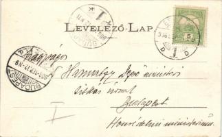 Eperjes, Főutca, Divald / main street