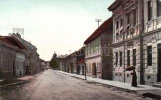 Vukovar, Strosmajerova ulica / Strossmayer street