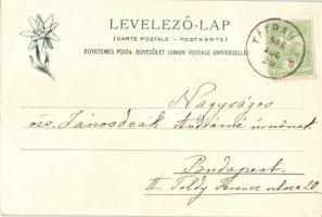 Késmárk, Katolikus templom; Feitzinger Ede / church