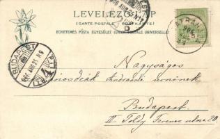 Késmárk, Főtér, városháza; Feitzinger Ede / main street, town hall (EB)