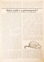 1936 8 db Sport horgász újság, viseltes állapotban