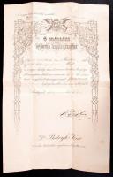 1895 Honvéd orvos főorvosi kinevezési okmánya b. Fejérváry Géza honvédelmi miniszter saját kezű aláírásával