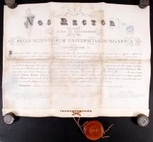 1895 Orvosi diploma pergamenen, ép függő viaszpecséttel