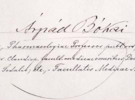 1895 Orvosi diploma pergamenen, ép függő viaszpecséttel