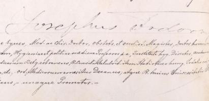 1895 Orvosi diploma pergamenen, ép függő viaszpecséttel