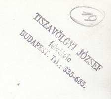 cca 1950-1960 Tiszavölgyi József: MALÉV gép Ferihegyen, 14x9 cm