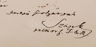 1897 Szász Károly (1829-1905) dunamelléki püspök saját kézzel írt felhatalmazó levele Szél Kálmán re...