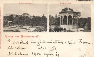 Nagyszeben, Hermannstadt; promenade, music pavilion; Verlag Karl Graef