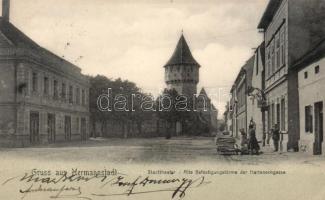 Nagyszeben, Hermannstadt; theatre, fort towers; Verlag Georg Meyer (EK)