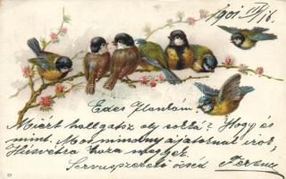 Birds litho (EK)