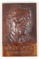 Jelzés nélkül: Lóczy Lajos, bronz plakett, 7×4,5 cm