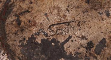 Fém hamutartó, jelzett, d: 12 cm