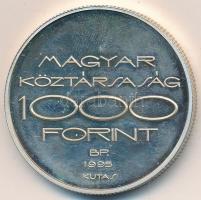 1995. 1000Ft Ag "Nyári olimpia-Atlanta - vívás" dísztokban T:PP
Adamo EM143