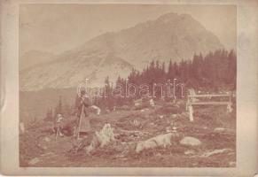 cca 1900 Tátra csendélet fotó 11x16cm